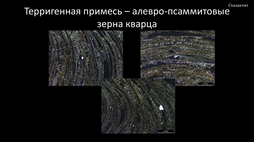 Терригенная примесь – алевро-псаммитовые зерна кварца