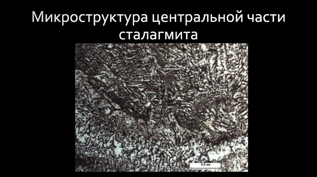 Микроструктура центральной части сталагмита
