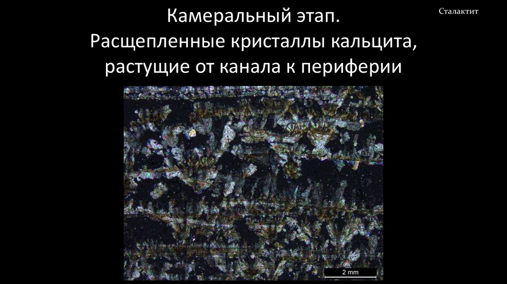Камеральный этап. Расщепленные кристаллы кальцита, растущие от канала к периферии