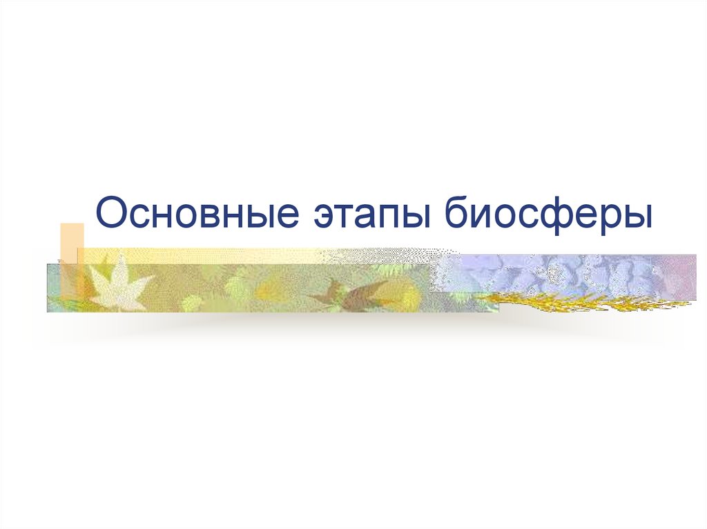 Этапы биосферы. Поток энергии в экосистемах. В экосистемах поток энергии идет. В экосистемах поток энергии идёт в направлени. Поток энергии в экосистемах какое направление.