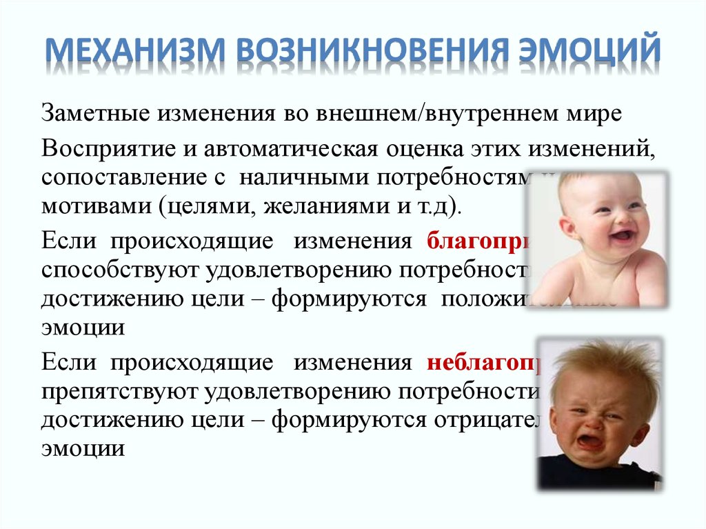 Эмоциональные механизмы