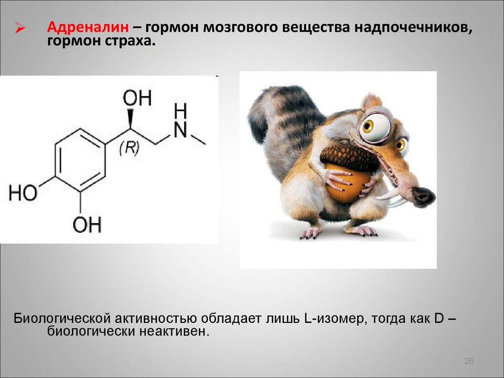 Адреналин картинки гормон