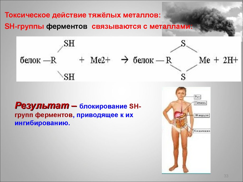 Токсичность металлов