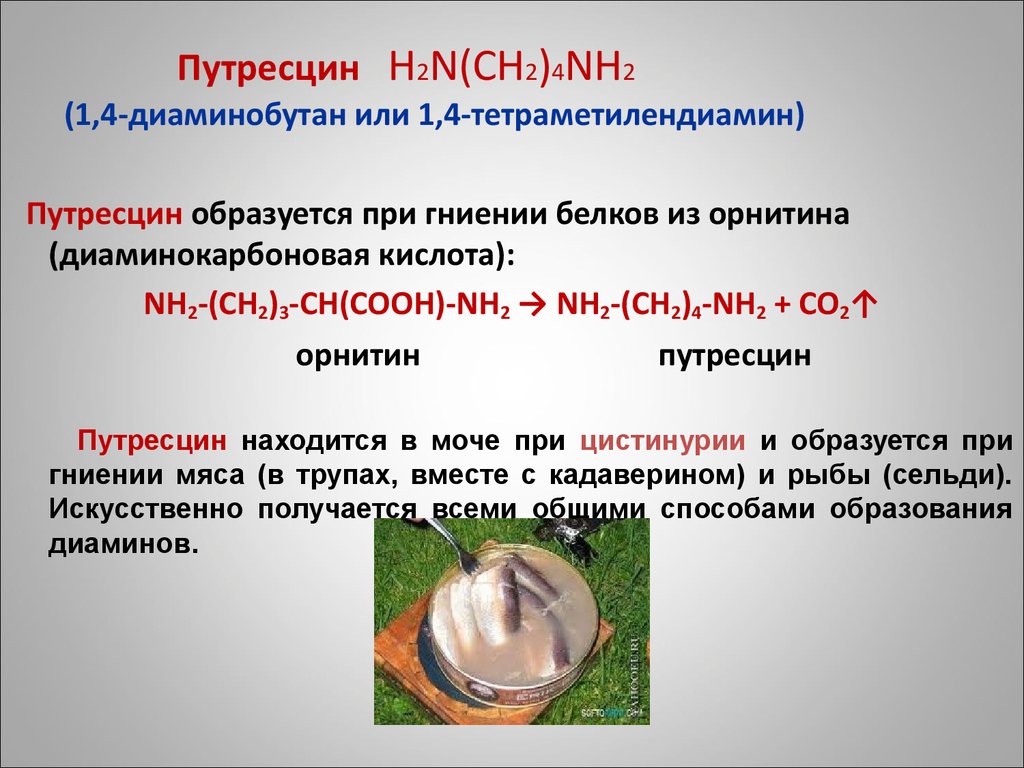 Путресцин H2N(CH2)4NH2