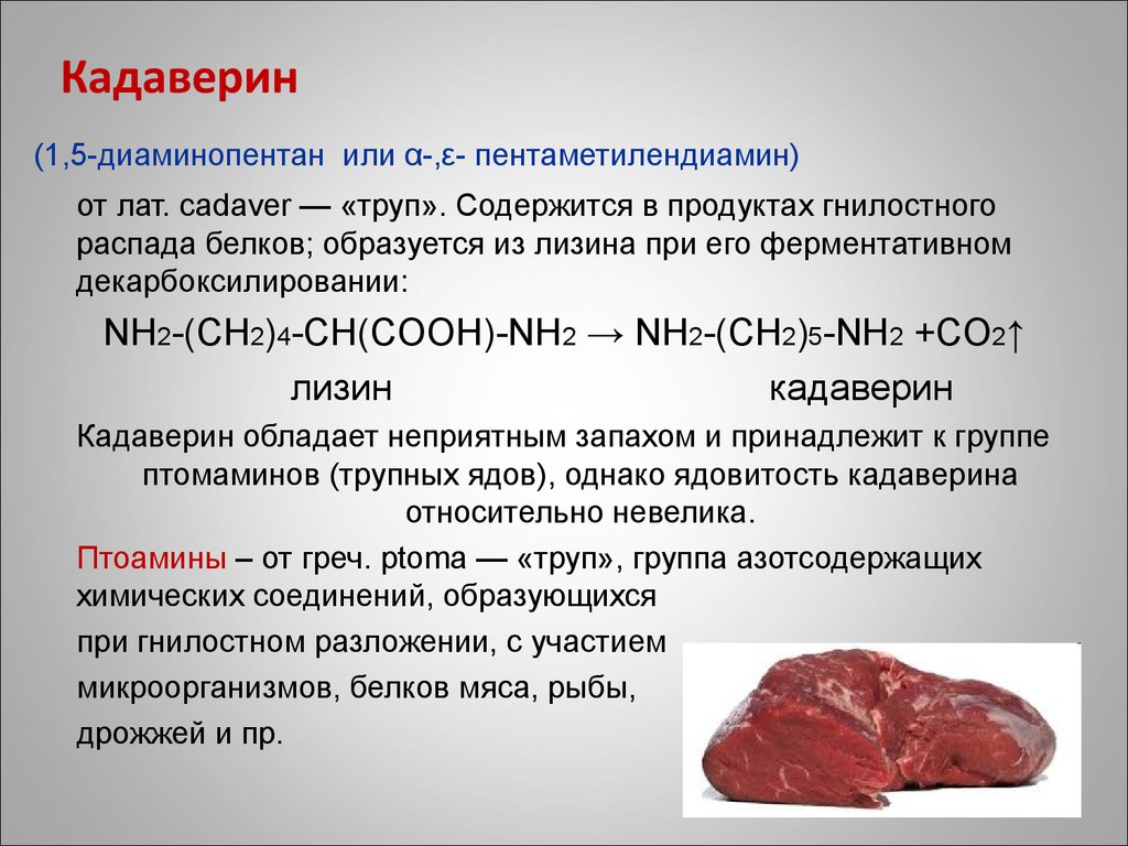 Дрожжи мясо. Кадаверин ИЮПАК. Биороль кадаверина. Лизин кадаверин. Кадаверин биологическая роль.