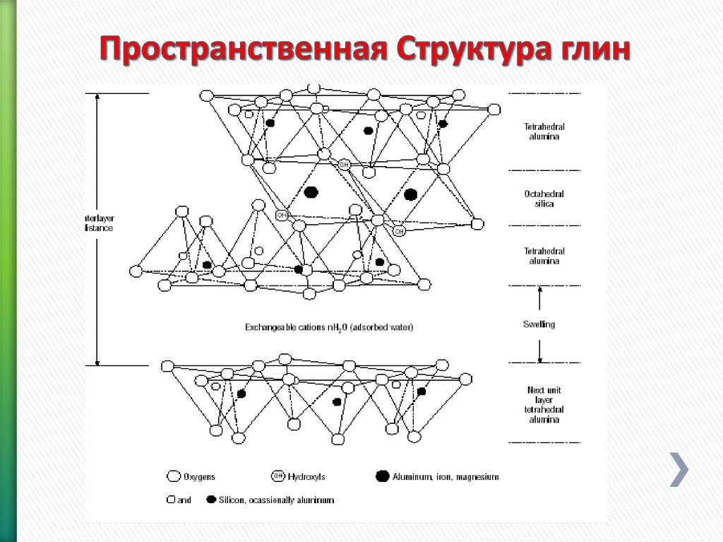 Типы пространственной организации