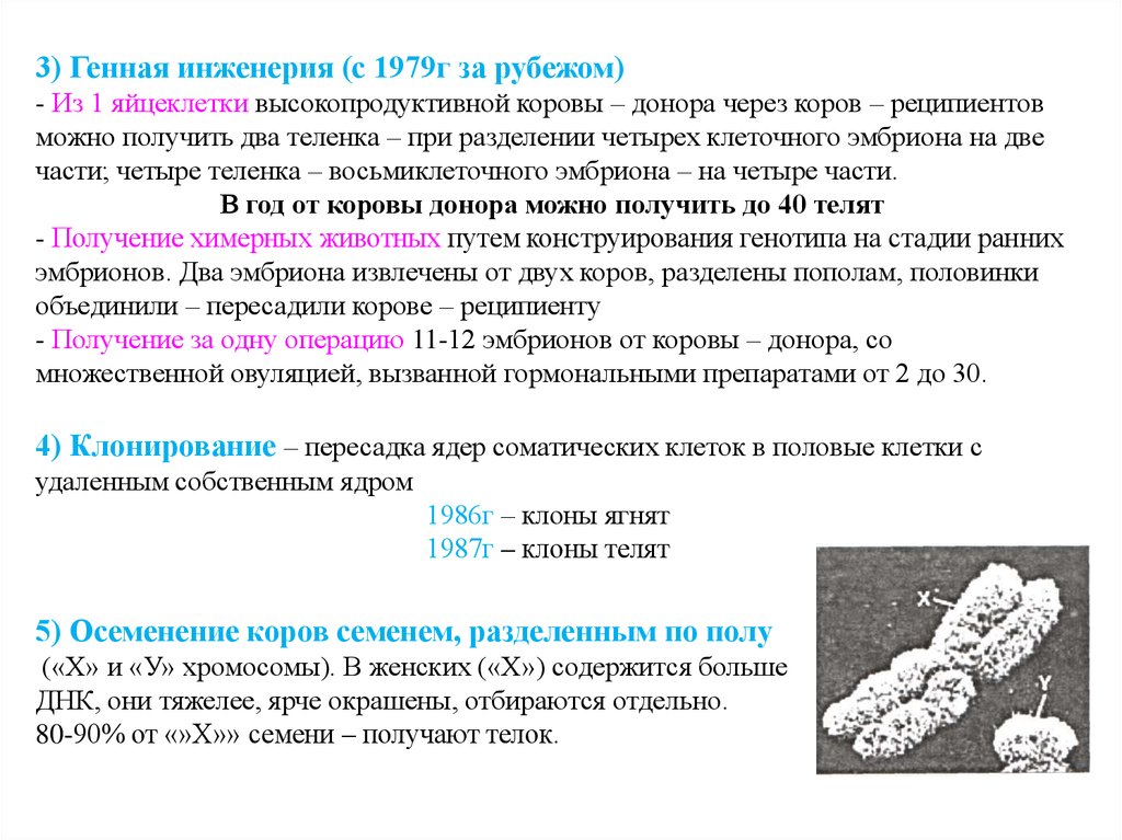 Схема клонирования высокопродуктивной коровы