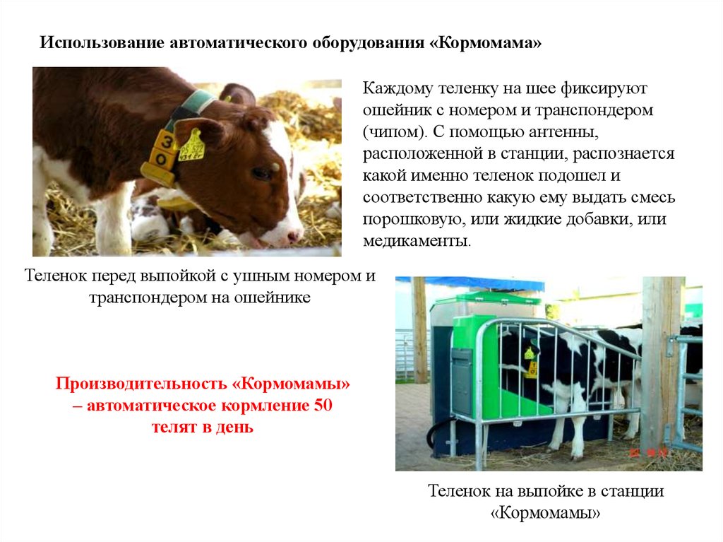 Получение продукции животноводства 8 класс