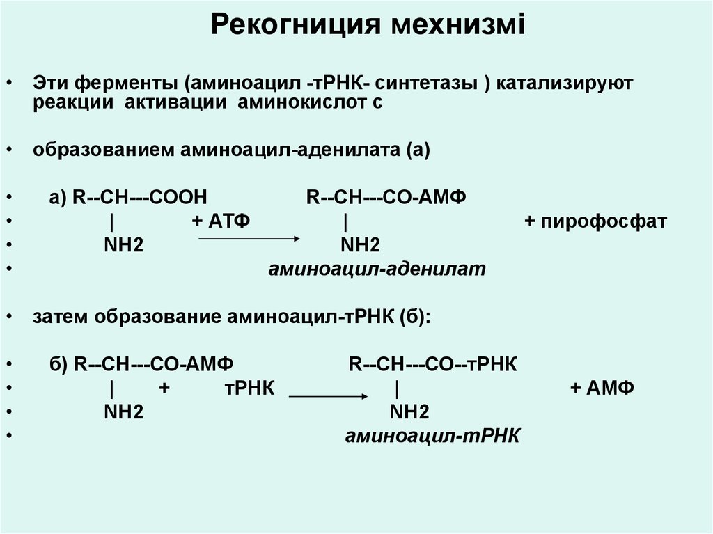 Аминокислоты это ферменты. Этап активации аминокислот рекогниция. Активация и рекогниция аминокислот биохимия. Рекогниция аминокислот этапы. Реакция активации аминокислот рекогниция.