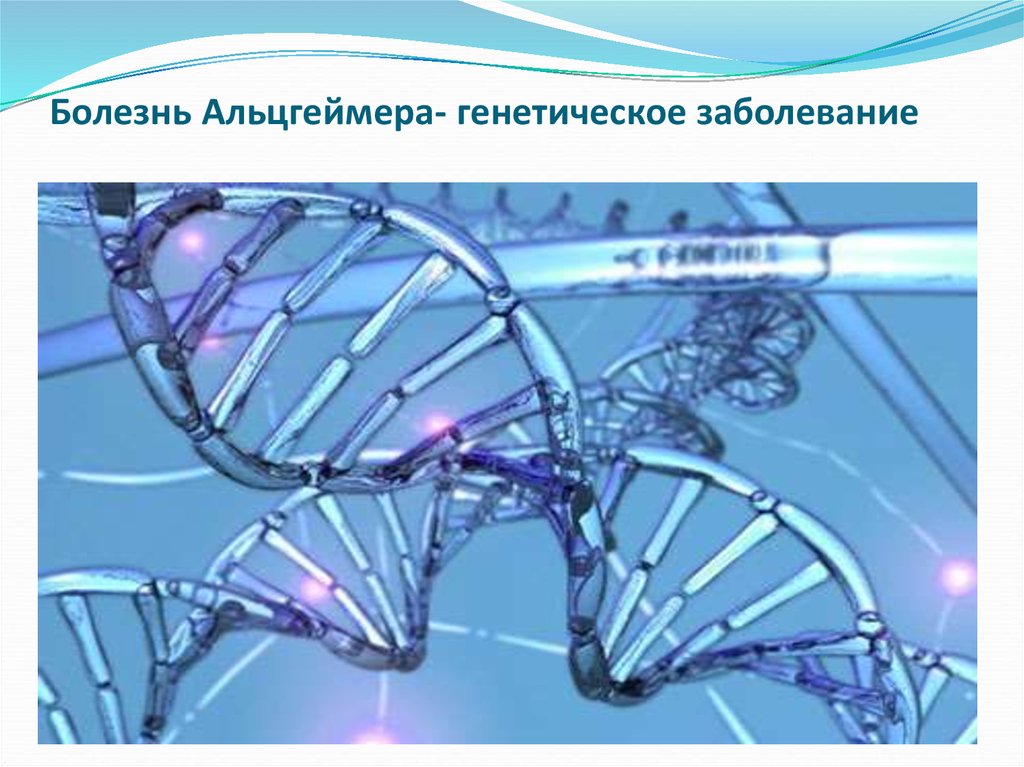 Болезнь Альцгеймера- генетическое заболевание