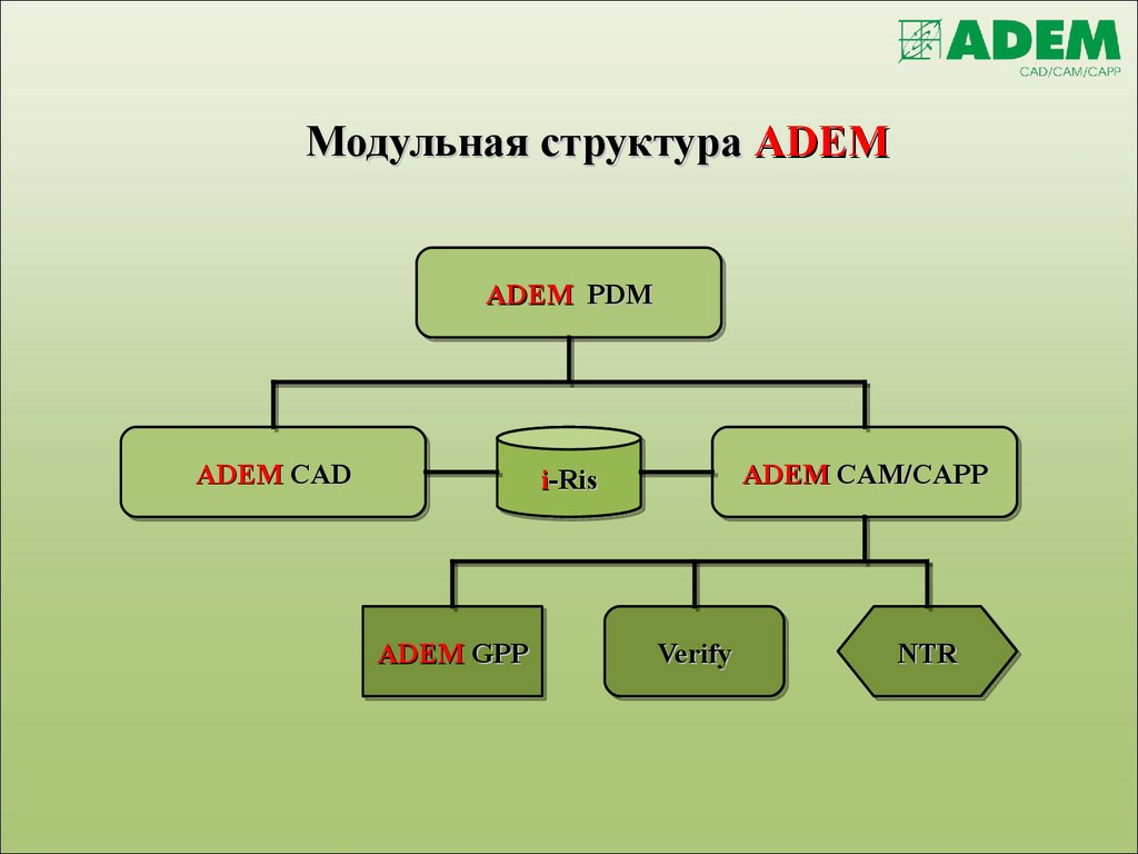 Модульная структура ADEM