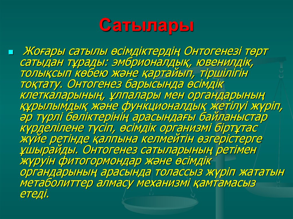 Онтогенез сатылары презентация