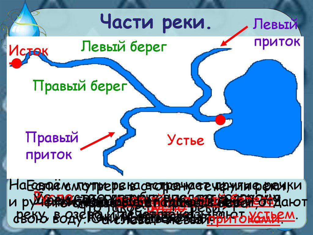 Какими цифрами на рисунке обозначены исток реки устье реки правый приток левый приток