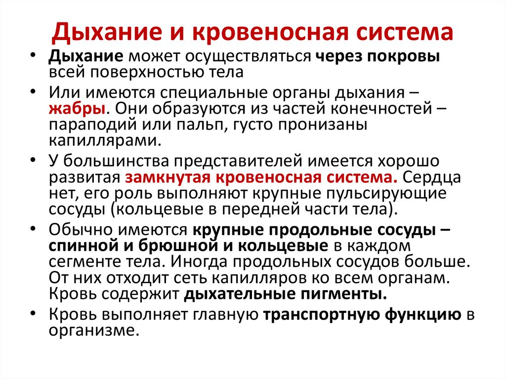 Функции кровеносной системы. Взаимосвязь дыхательной и кровеносной систем. Взаимосвязь между дыхательной и кровеносной системой. Кровеносная система взаимосвязь. Связь дыхания с кровеносной системой.