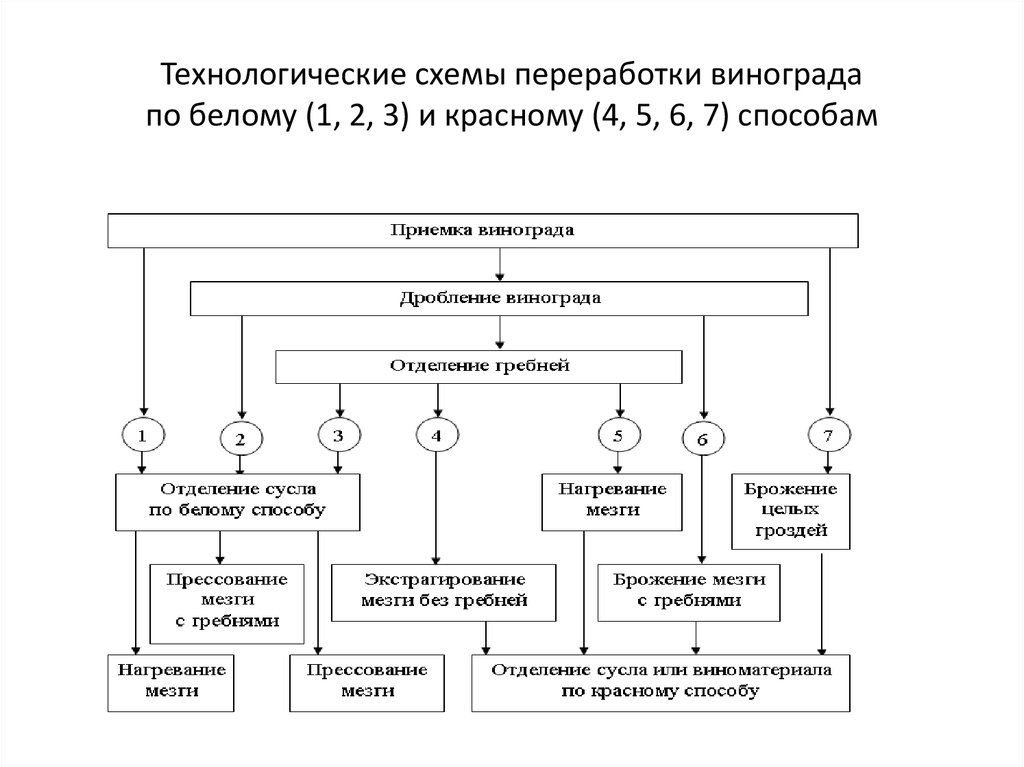 Технологическая схема производства вина