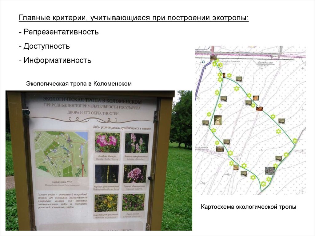 Экологические тропы хвалынска карта