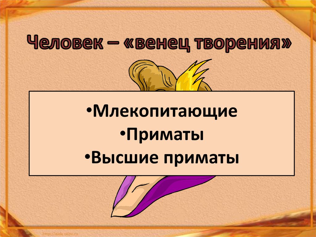 Человек венец творения фото