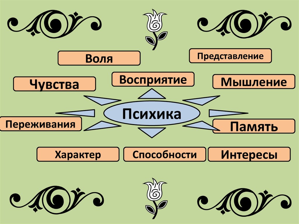 Поведение и психика человека презентация 8 класс