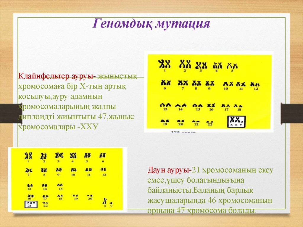 Мутация презентация казакша