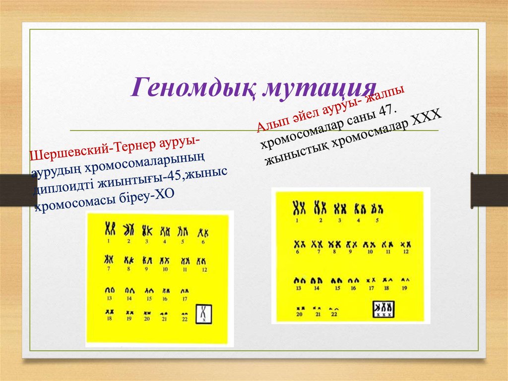 Мутация презентация қазақша