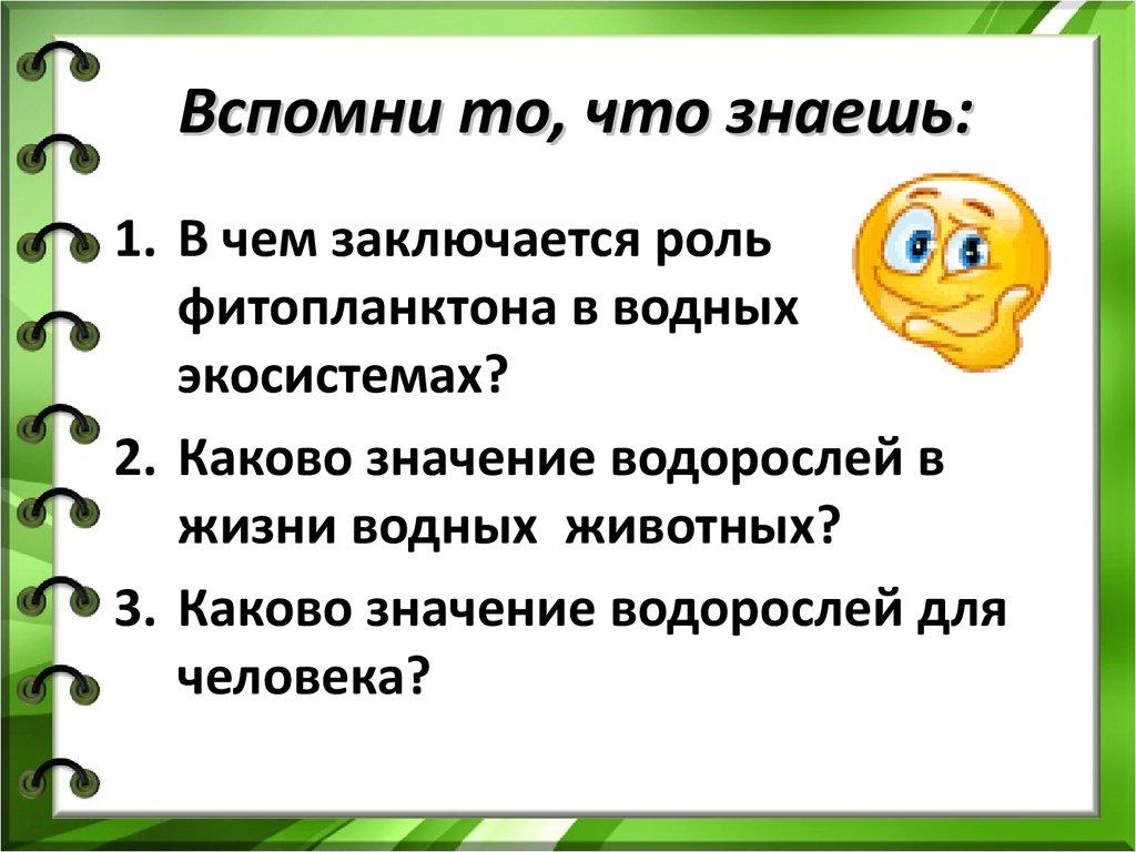 Роль водорослей в экосистеме. Роль водорослей в водных экосистемах. Водоросли в водных экосистемах играют роль. Каково значение ламинарии в жизни человека. Сообщение по биологии 5 класс на тему роль водорослей в жизни человека.