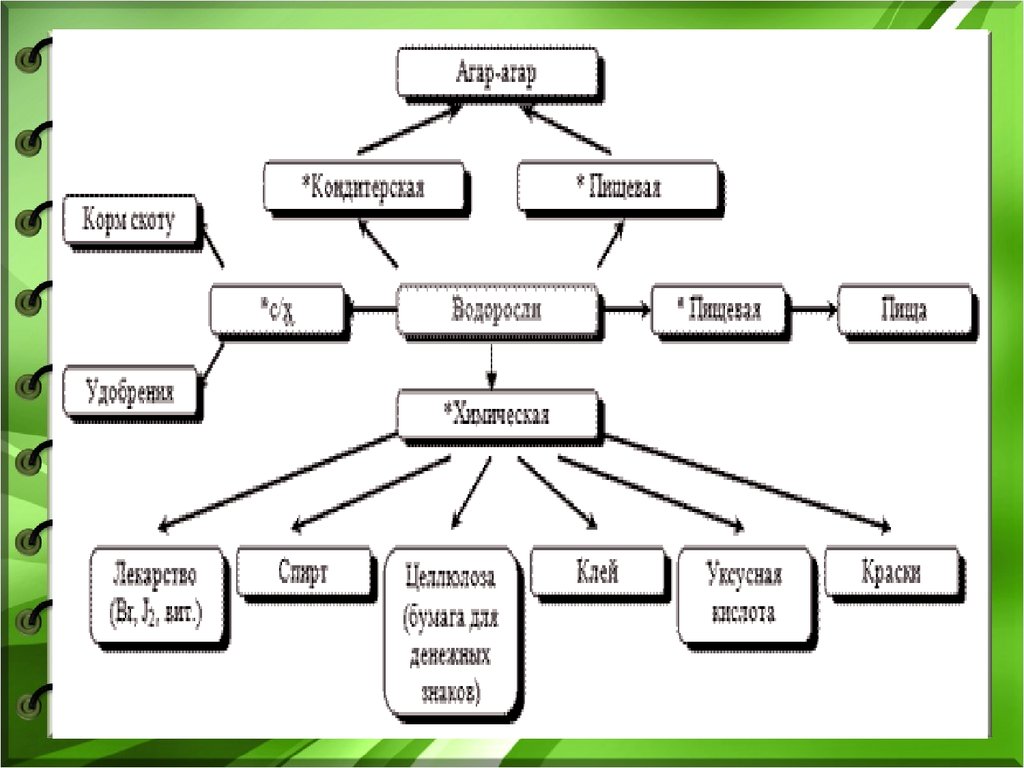 Значение растений водорослей. Схема использования водорослей. Схема использования водорослей человеком. Значение и использование водорослей схема. Роль водорослей в экосистемах.