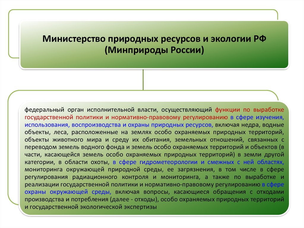 Правовое регулирование органов исполнительной власти. Иные федеральные органы. Основные функции Министерства природных ресурсов и экологии РФ. Государственная политика РФ В сфере лесного хозяйства. Федеральные органы с особым правовым статусом.