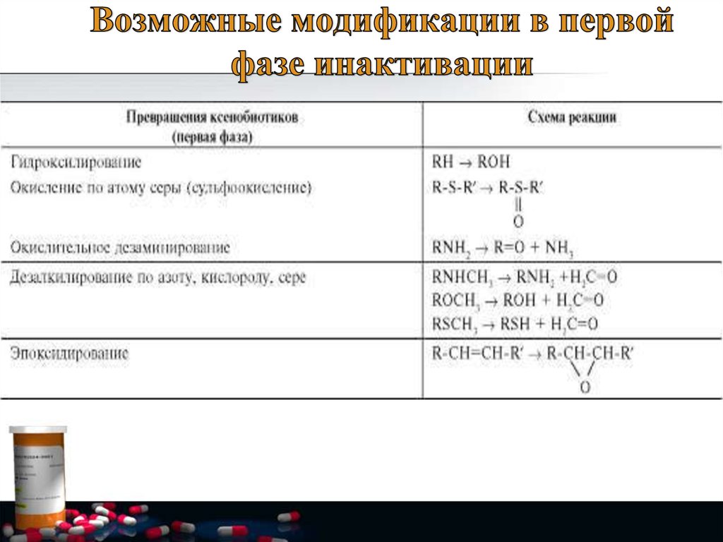 Возможные модификации в первой фазе инактивации