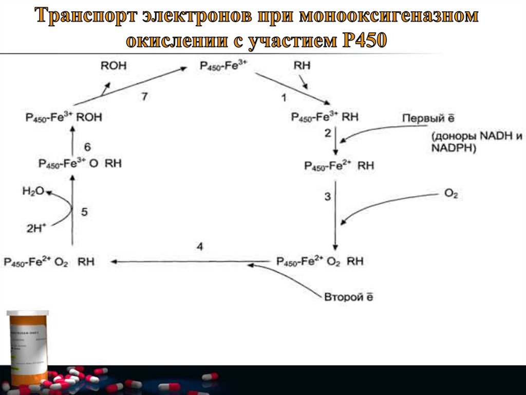 Схема микросомального окисления биохимия