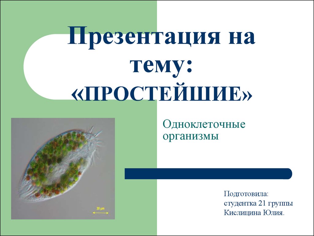 Специальные организмы. Презентация по теме простейшие. Презентация на тему простейшие. Одноклеточные организмы 5 класс. Презентация одноклеточные организмы.