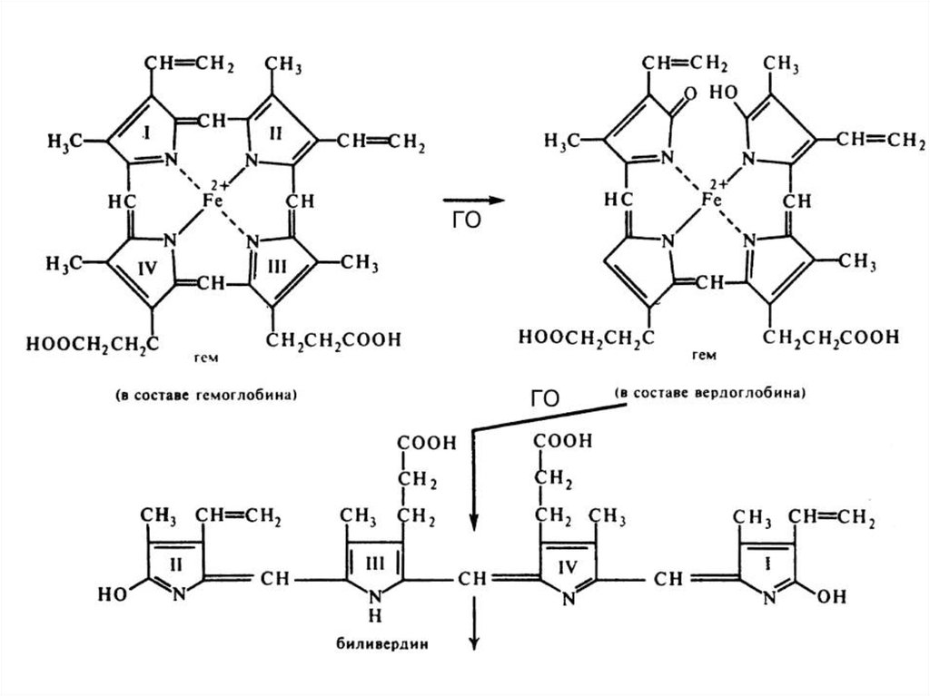 Гем биохимия. Структура гема. Структура гема биохимия. Строение гема гемоглобина. Гаптоглобин формула.