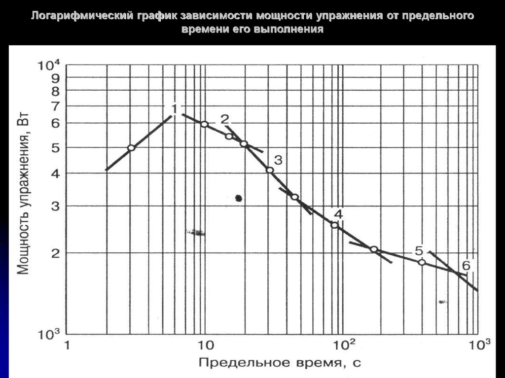 Логарифмический график зависимости мощности упражнения от предельного времени его выполнения