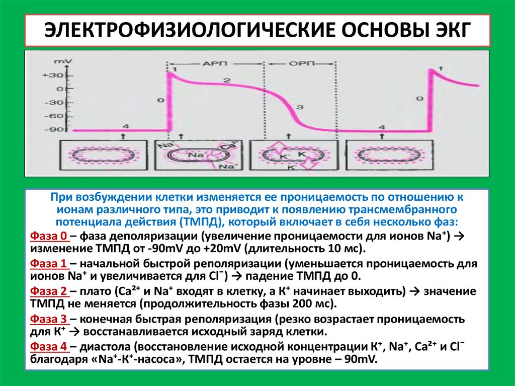 Рзимос расшифровка план