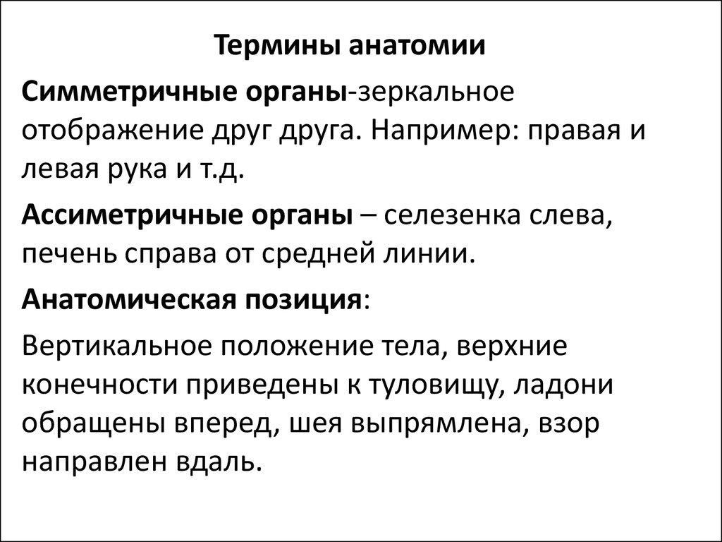 Анатомические термины. Анатомия термины. Анатомические понятия. Анатомическая терминология. Основные понятия в анатомии.