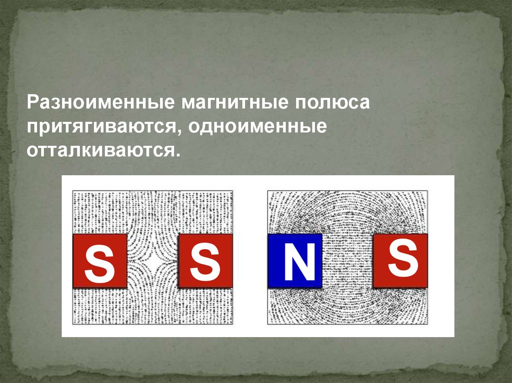 Одноименными или разноименными полюсами образован магнитный спектр на рисунке