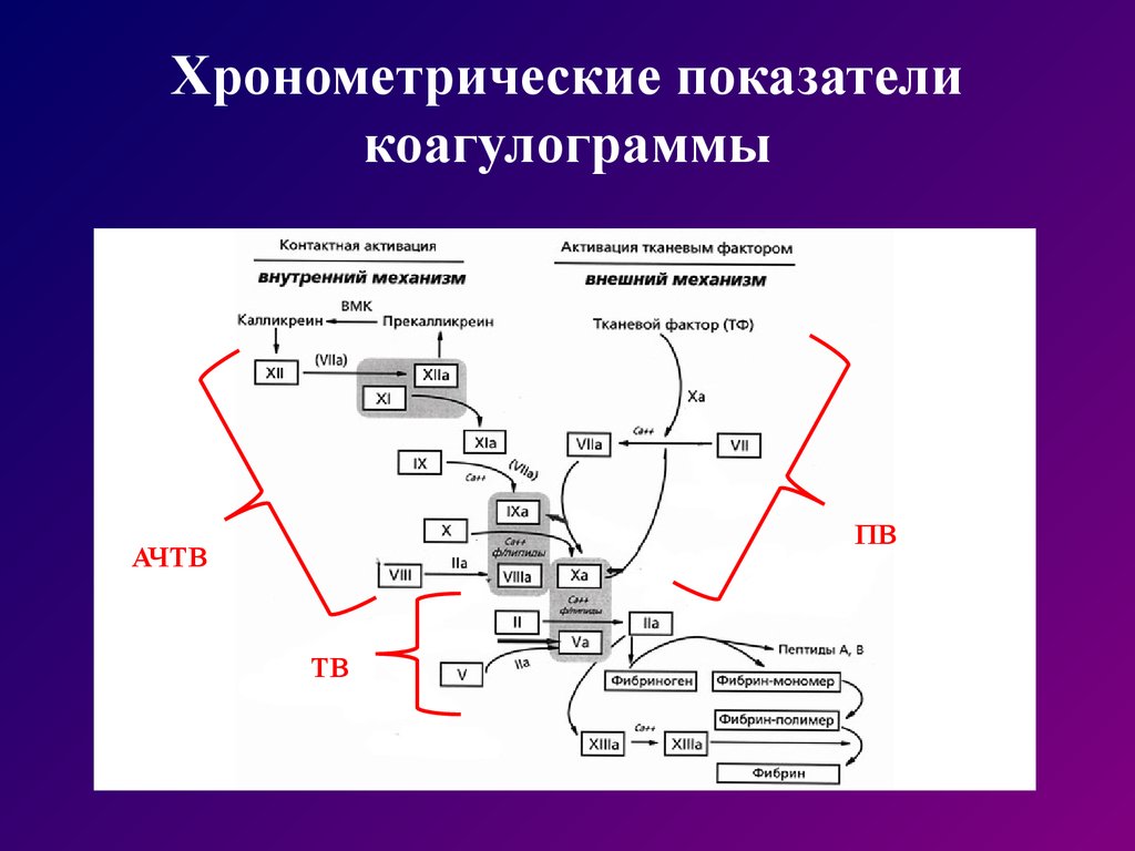 Коагулограмма гемостаза