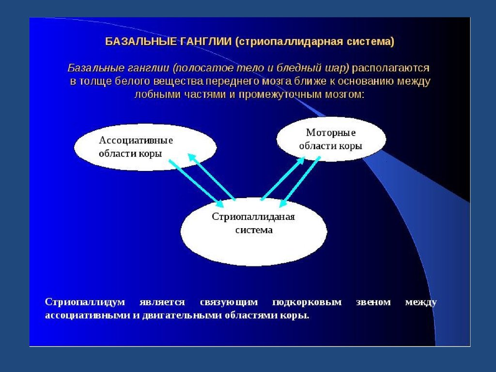 Схема стриопаллидарной системы