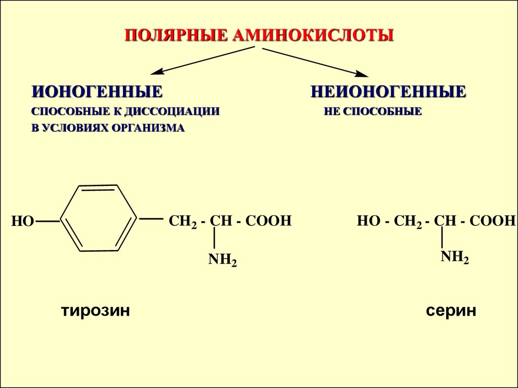 Презентация по аминокислотам