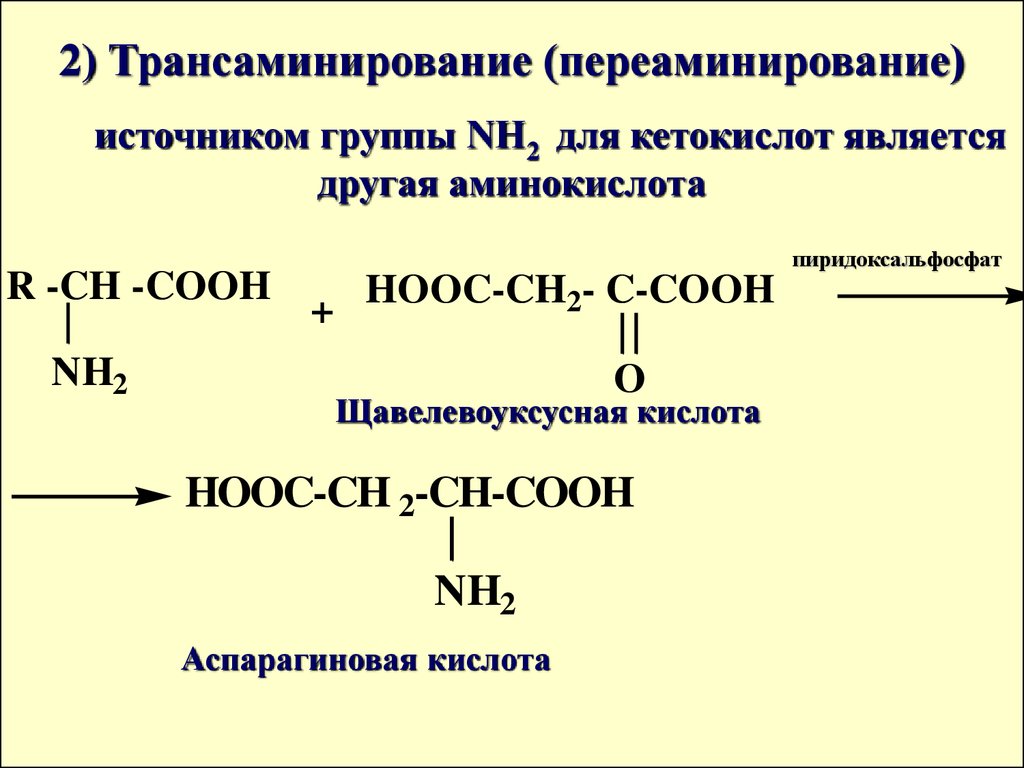 Глутаминовая кислота аналоги