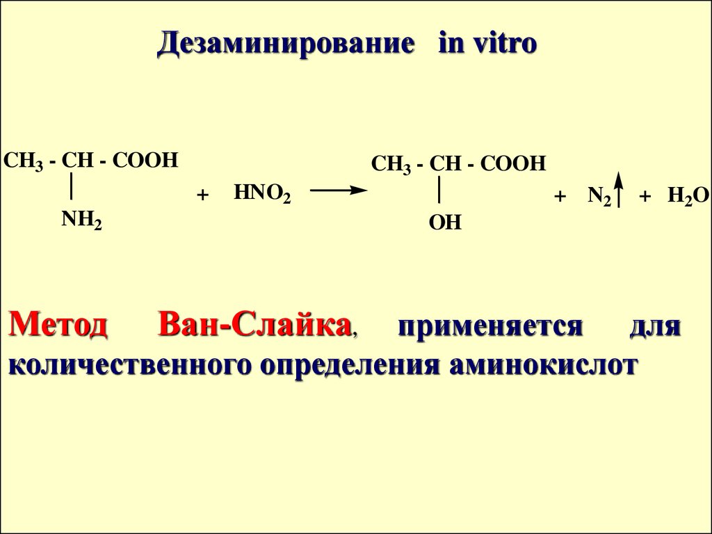 Реакция in vivo. Дезаминирование in vitro. Реакция Ван Слайка. Метод Ван Слайка для аминокислот. Дезаминирование триптофана.