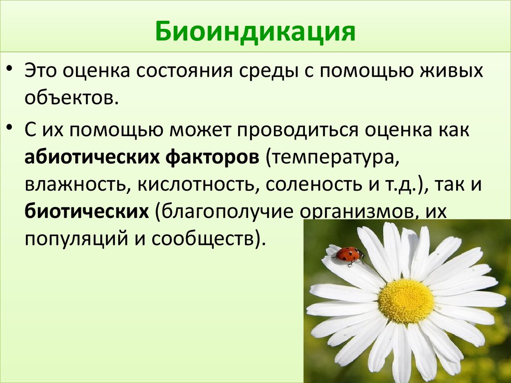 Биоиндикация. Биоиндикация загрязнений окружающей среды. Биоиндикаторы состояния окружающей среды. Растения биоиндикаторы окружающей среды. Биоиндикация презентация.