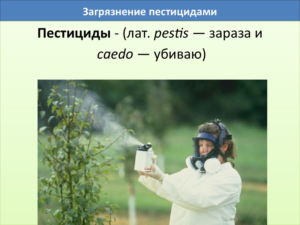 Пестициды приводят к. Пестициды. Презентация загрязнение пестицидами. Пестициды в организме человека. Влияние пестицидов.