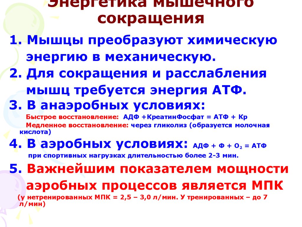 Опишите общую схему энергетического обеспечения мышечного сокращения