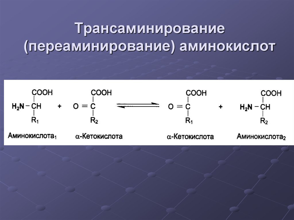Аминокислота образуется в процессе. Валин трансаминирование. Реакция переаминирования аминокислот. Схема реакции трансаминирования. Трансаминирование аминокислот.