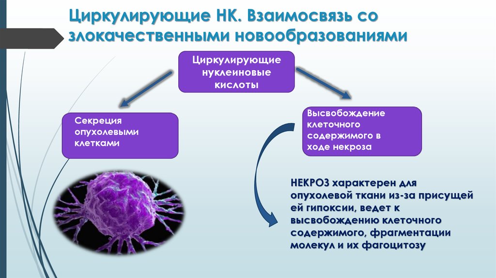 Презентация на тему злокачественные опухоли