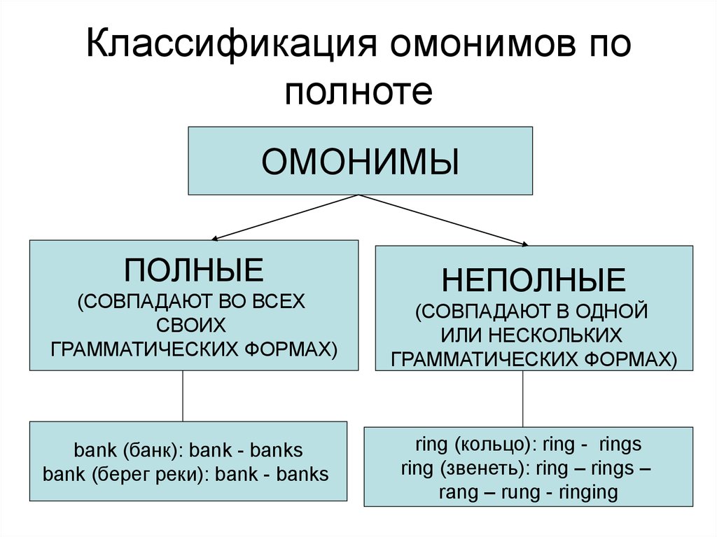 Примеры омонимов языке