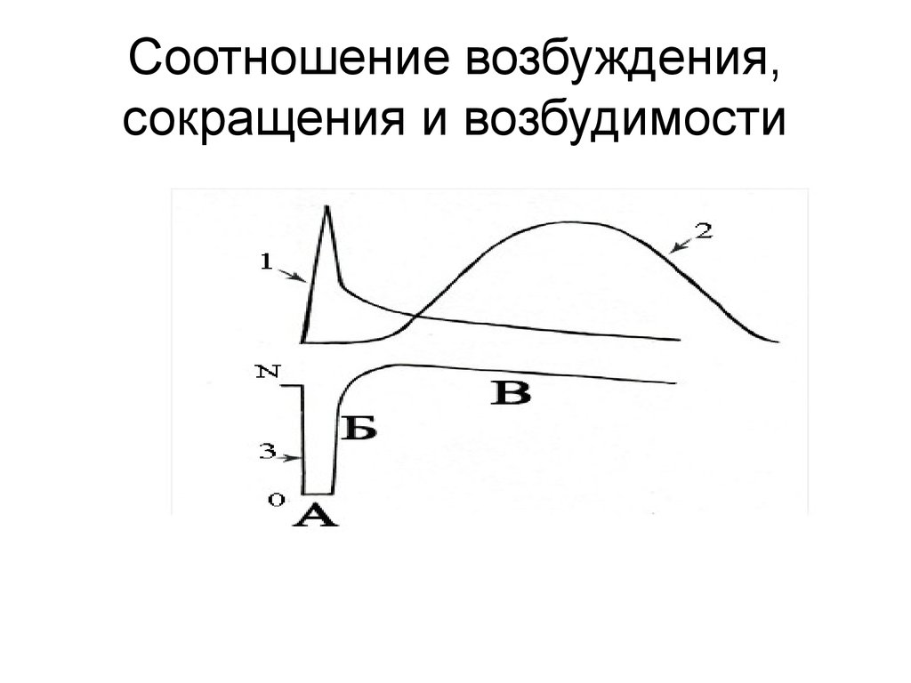 Повысить возбуждение