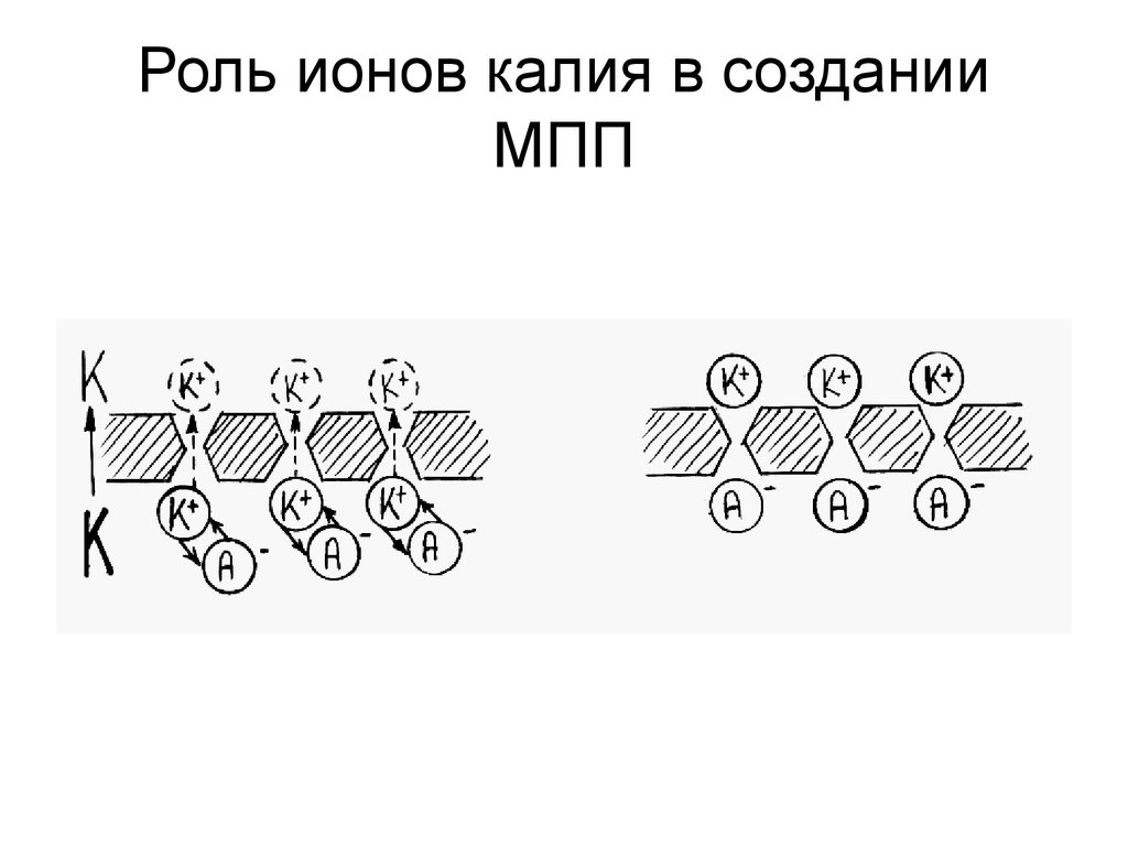 Строение иона