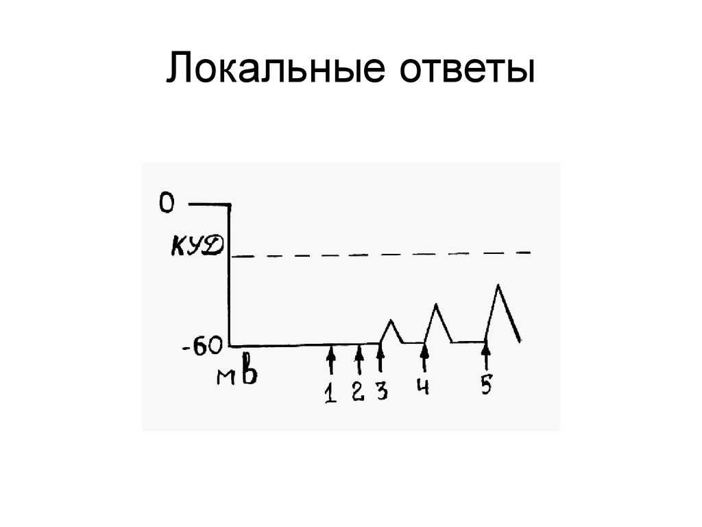 Локальный ответ. Локальный ответ физиология. График локального ответа физиология. Схема локального ответа.