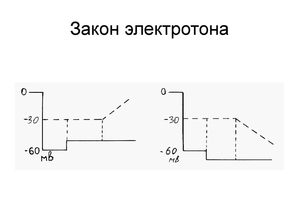 Электротон. Катэлектротон и анэлектротон. Электротон физиология. Физический электротон физиологический электротон. Распространение электротона физиология.